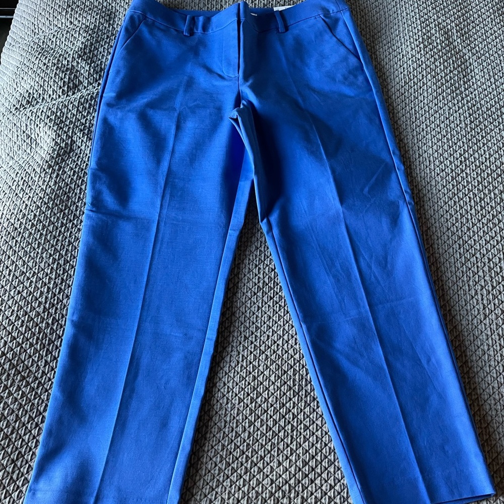 NWT Ann Taylor Loft Royal Blue Riviera Slim Pants